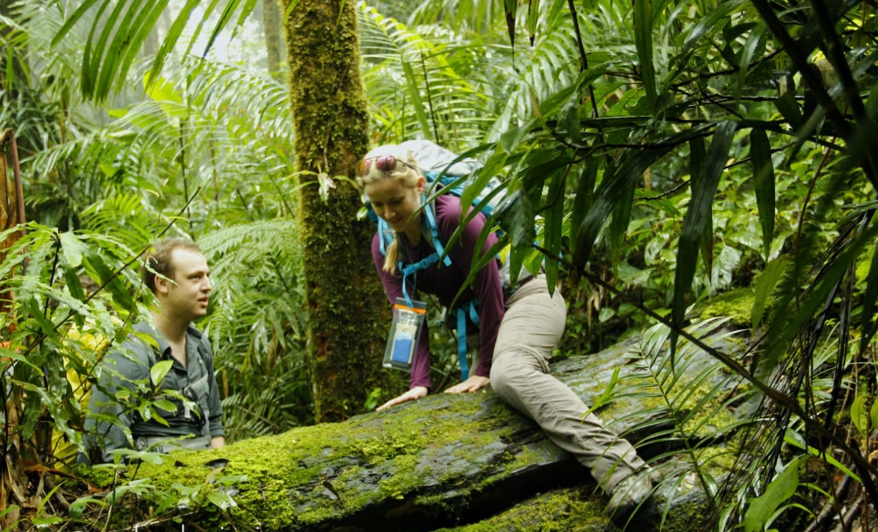 Sumatera Tiger Trek